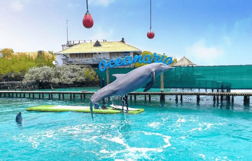 3 Islas Privadas Básico + Acuario + Plancton