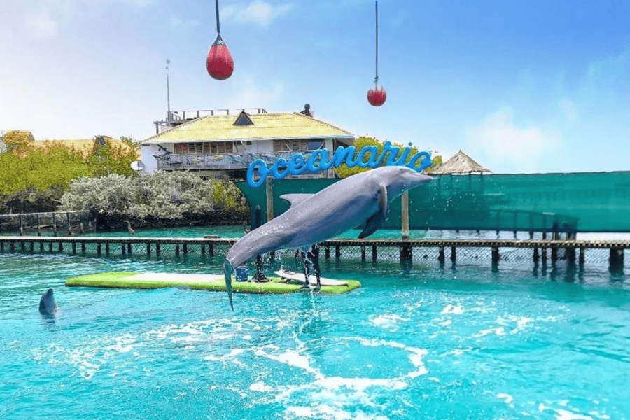 3 Islas Privadas Básico + Acuario + Plancton