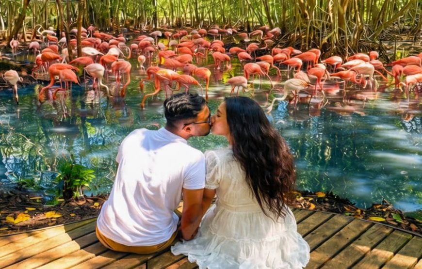 Aviario Nacional + Playa Tranquila