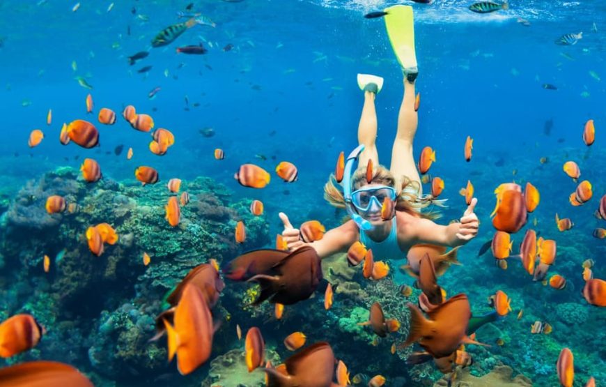 Mirador De Barú (Playa Blanca) + Mapaches + Snorkel