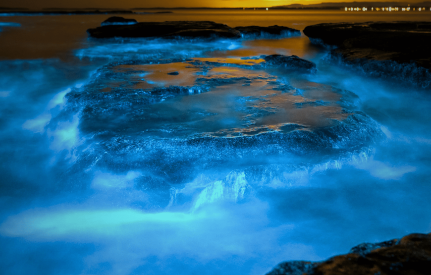 3 Islas Privadas Básico + Acuario + Plancton