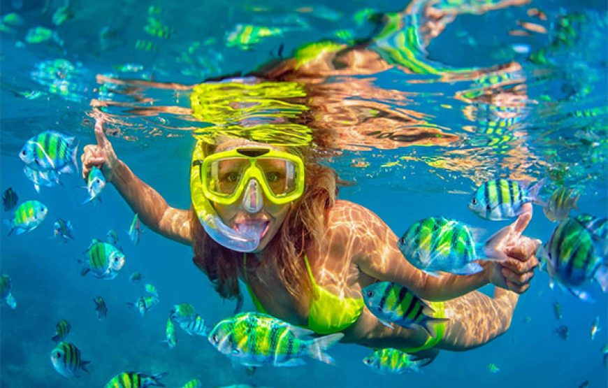 Playa Tranquila Básico + Tour Mapache con Snorkel