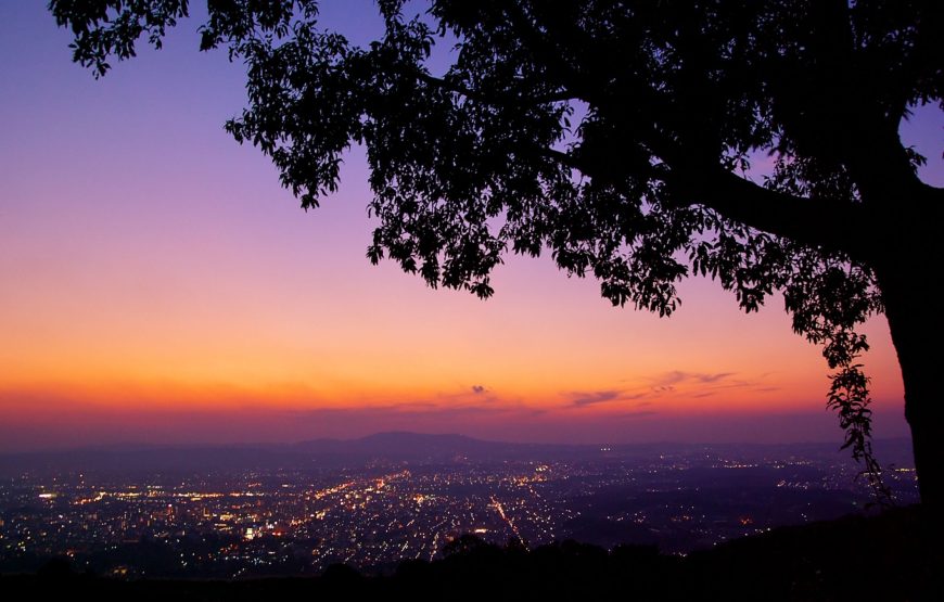 ATARDECER DE LA SIERRA (MINCA) – TERRESTRE