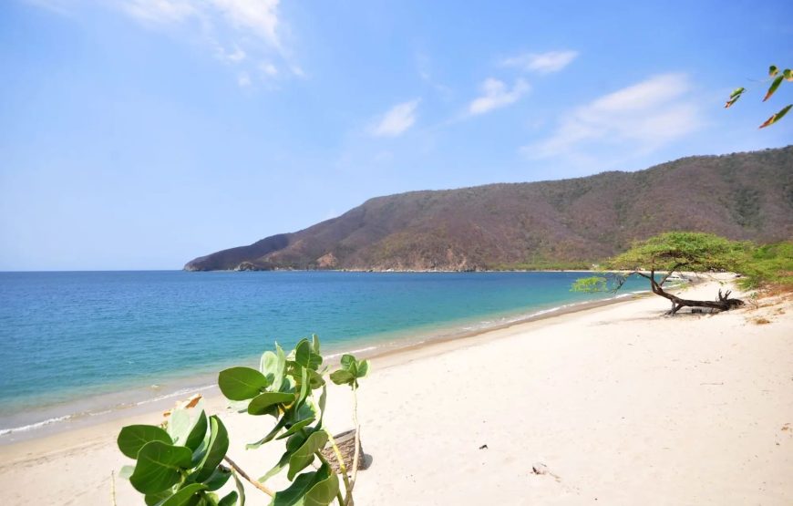 BAHIA CONCHA – TERRESTRE