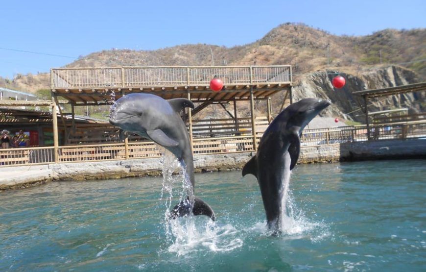 PLAYA BLANCA + ACUARIO