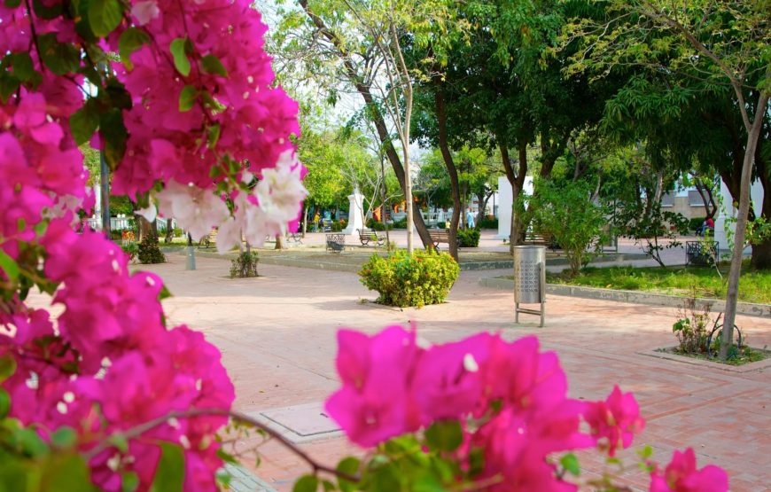 CITY TOUR CLÁSICO – SANTA MARTA