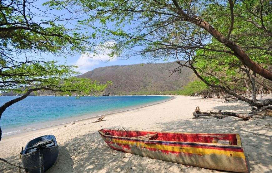 BAHIA CONCHA – TERRESTRE