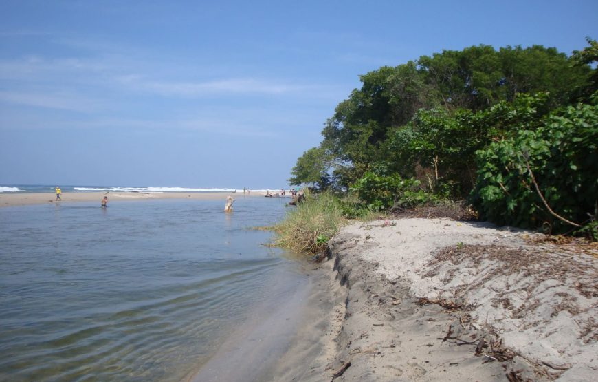 GUACHACA + BURITACA – TERRESTRE