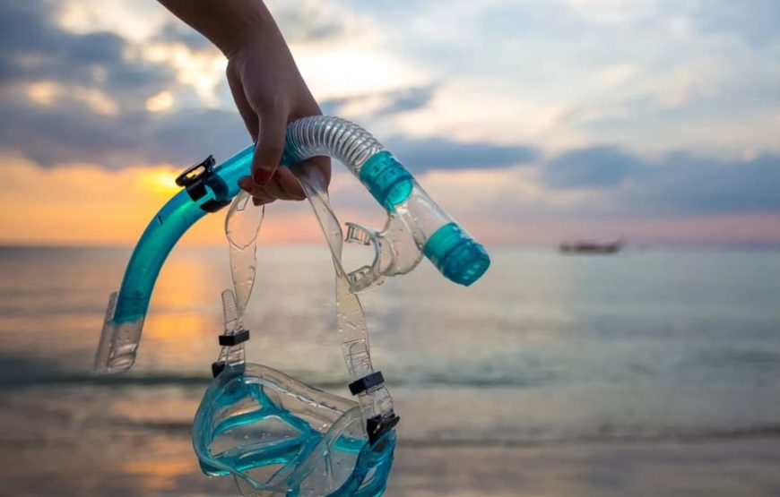 5 Islas Premium Básico + Plancton