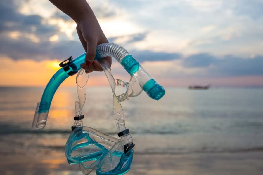 5 Islas Premium Básico + Plancton