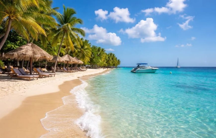 5 Islas Premium Básico + Acuario + Plancton