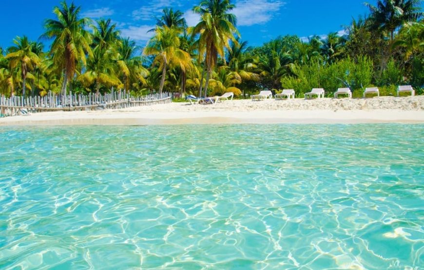 5 Islas VIP (Almuerzo En Isla Privada) + Open Bar + Plancton