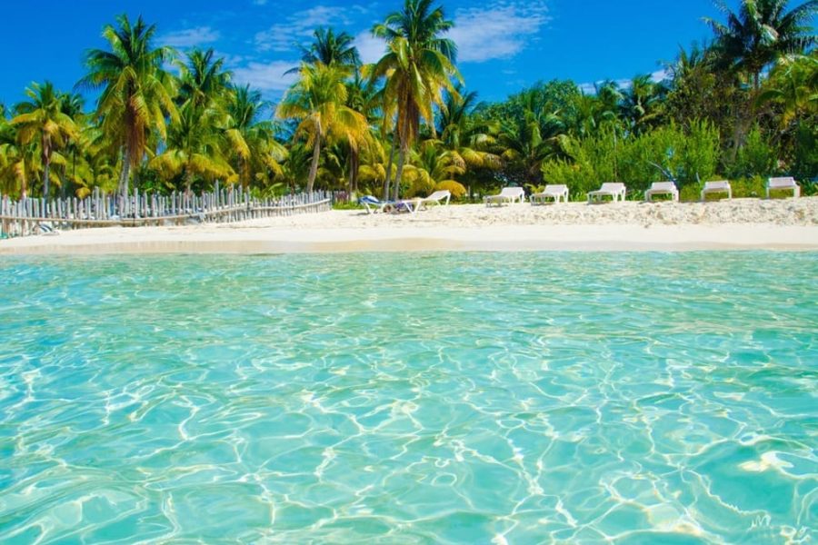 5 Islas VIP (Almuerzo En Isla Privada) + Open Bar + Plancton