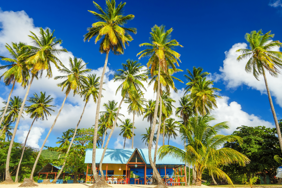 3 ISLAS PRIVADAS BÁSICO