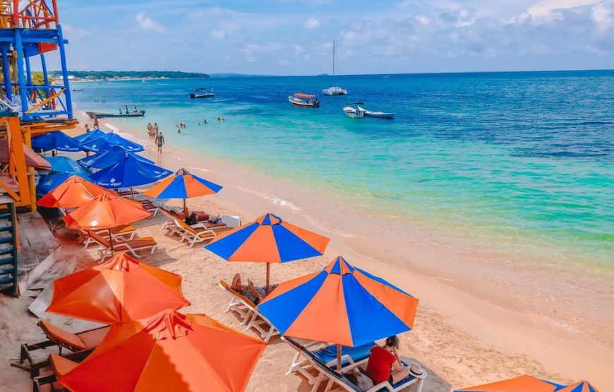 Playa Tranquila Básico Terrestre y Lancha + Mapaches + Snorkel + Plancton