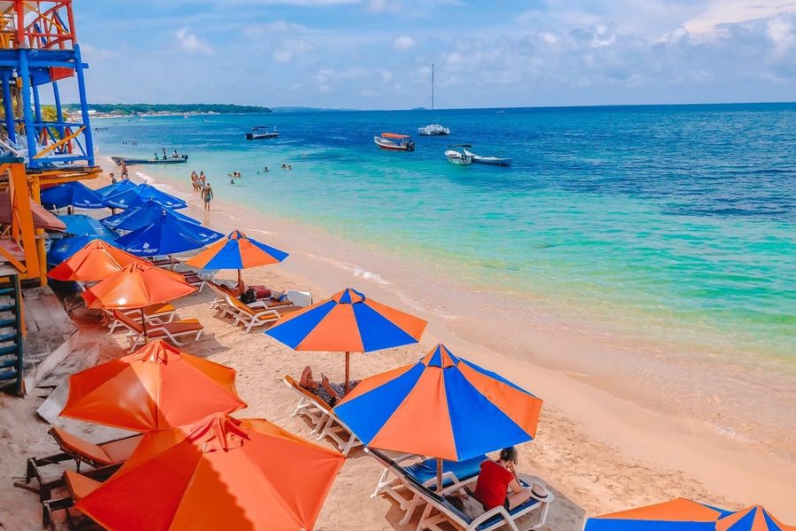 Playa Tranquila Básico Terrestre y Lancha + Mapaches + Snorkel + Plancton