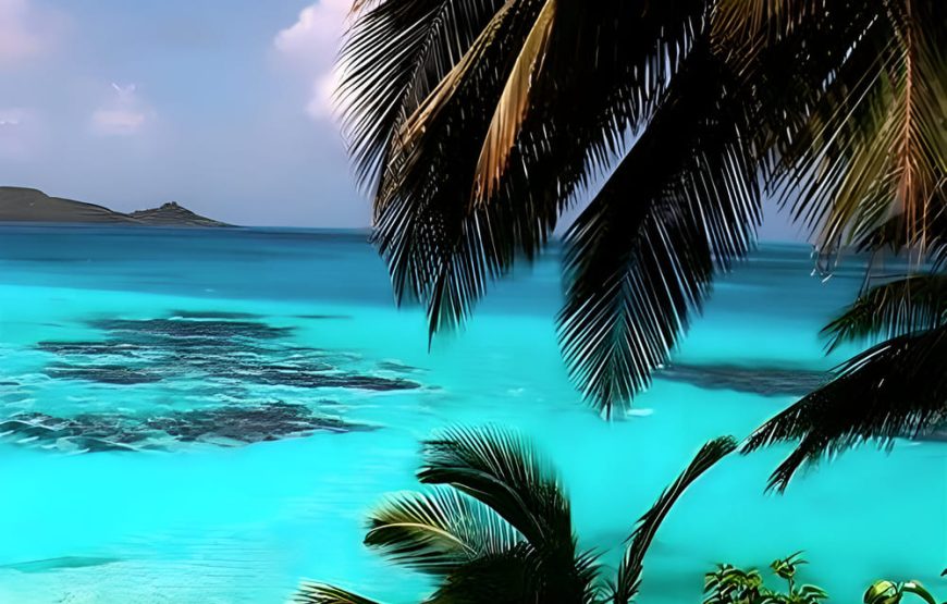 Playa Tranquila Básico Terrestre y Lancha + Mapaches + Snorkel