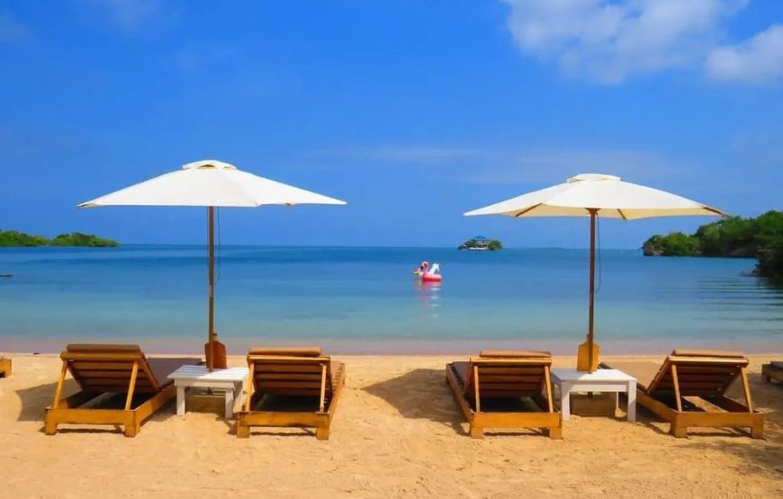 5 Islas Premium Básico + Acuario + Plancton