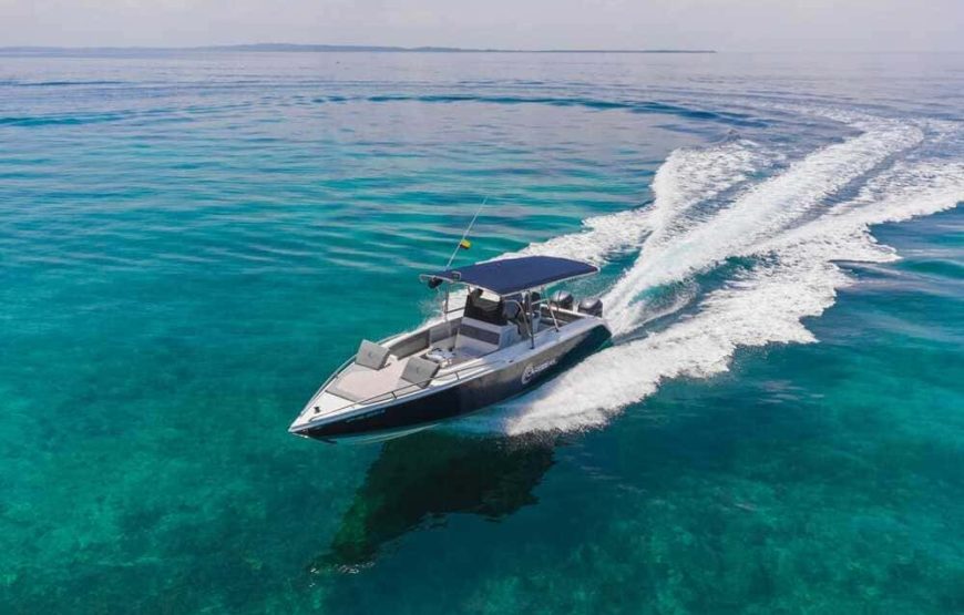 5 Islas Premium Básico + Acuario