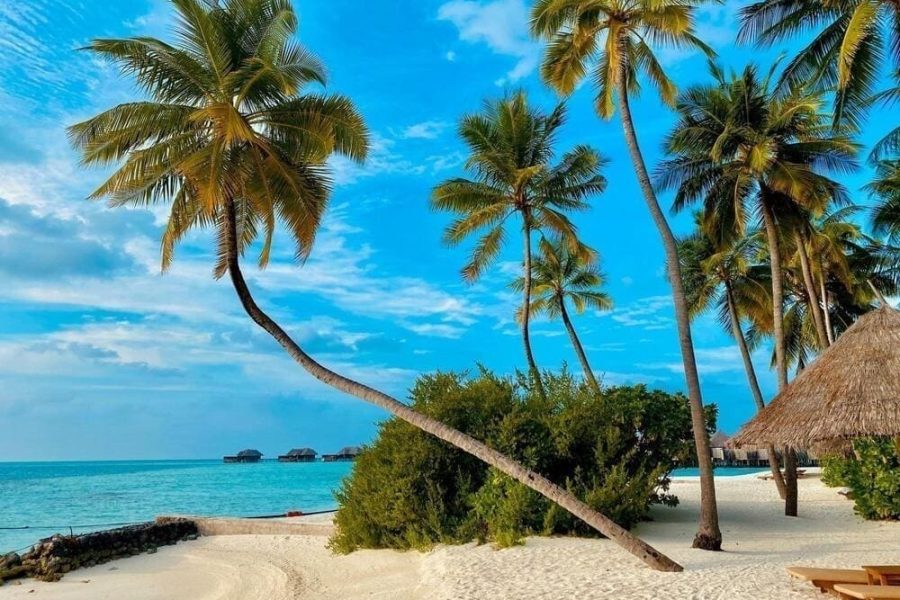 Playa Tranquila Básico Terrestre y Lancha + Plancton