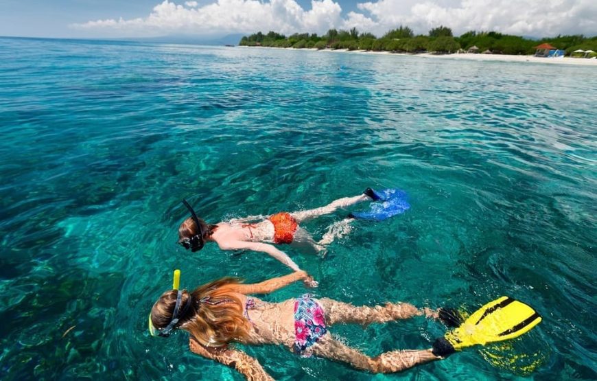 5 Islas Premium Básico + Acuario + Open Bar + Plancton