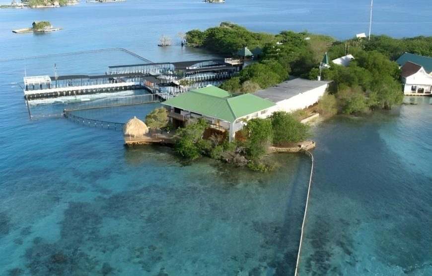 Playa Tranquila Básico Terrestre y Lancha + Acuario