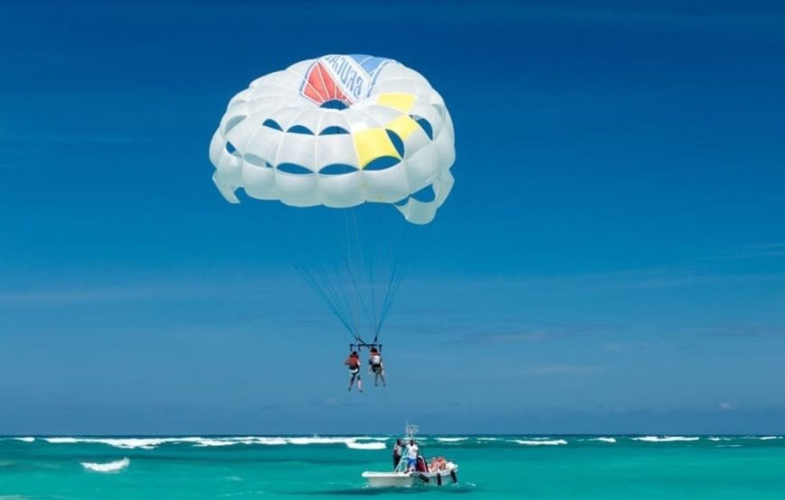 5 Islas Premium Básico + Acuario + Plancton