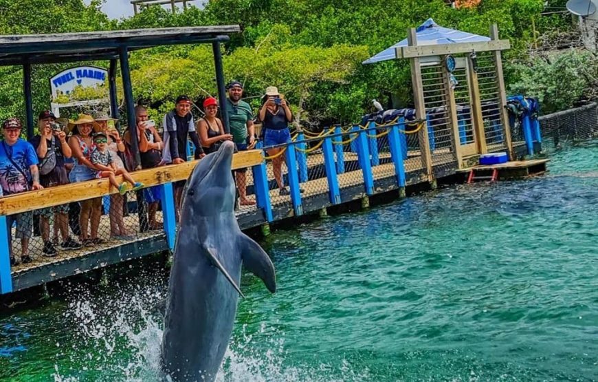 5 Islas VIP (Almuerzo En Isla Privada) + Acuario