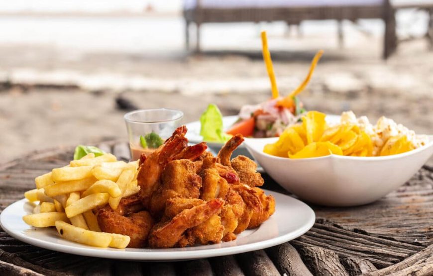 Playa Tranquila Básico Terrestre y Lancha + Acuario + Plancton