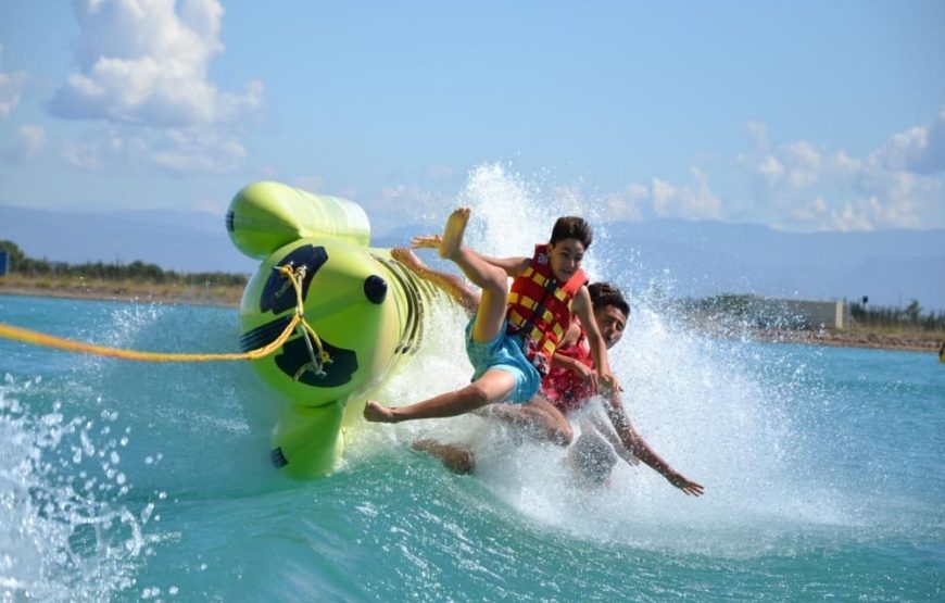 Playa Tranquila Básico Terrestre y Lancha + Plancton