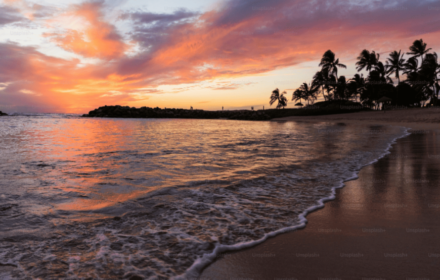 Atardecer Barú + Plancton + Cena En Playa Tranquila