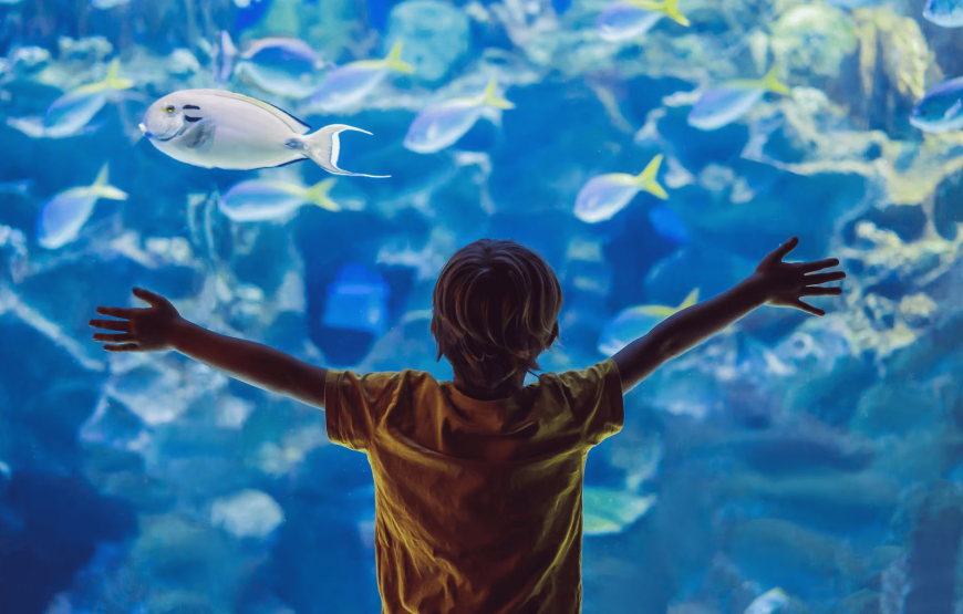 3 Islas Privadas Básico + Acuario