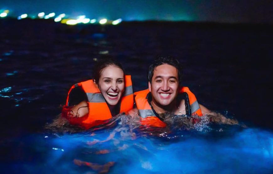 Playa Tranquila Básico Terrestre y Lancha + Acuario + Plancton