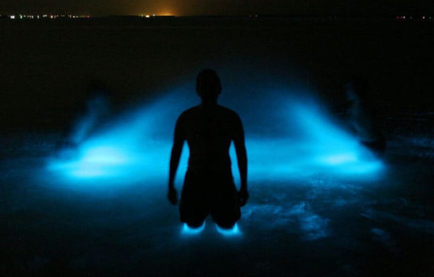 5 Islas VIP (Almuerzo En Isla Privada) + Acuario + Plancton