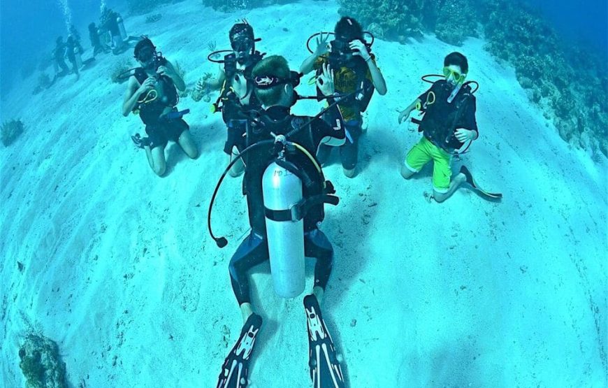 Buceo De Recreación 1 Inmersión (Minicurso Principiantes)
