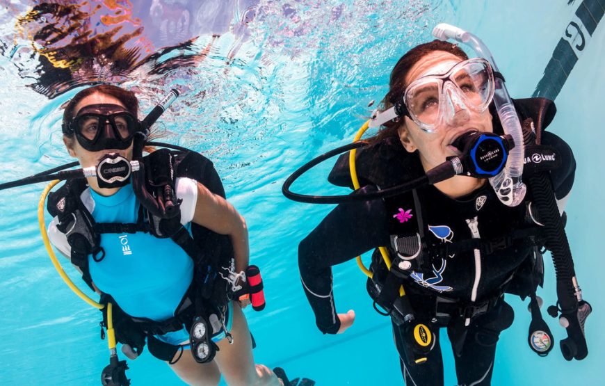 Buceo Arrecifes Islas Del Rosario (Open Water o Superior)