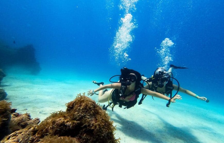 Buceo Barcos Hundidos (Open Water o Superior)