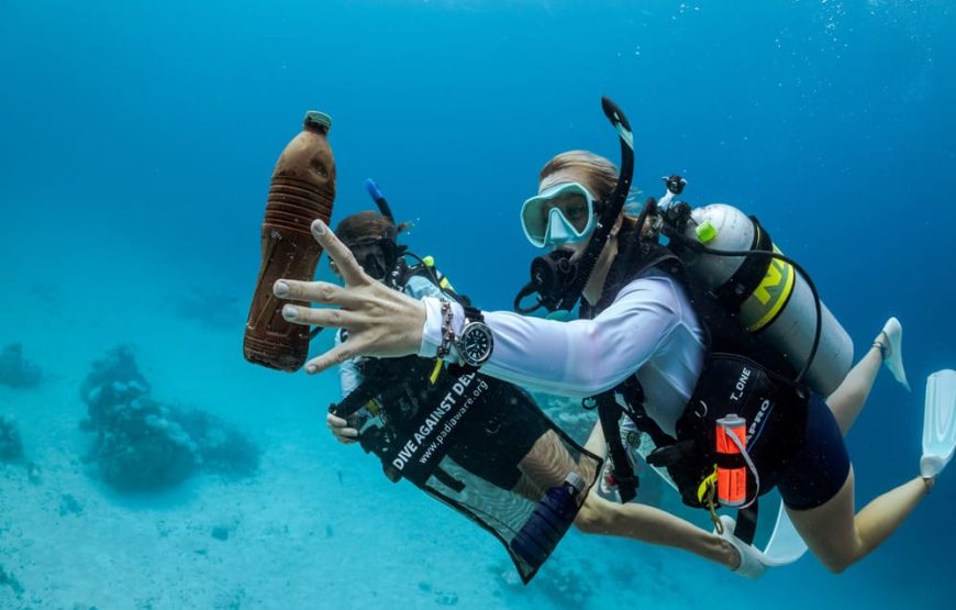 Buceo De Recreación 1 Inmersión (Minicurso Principiantes)