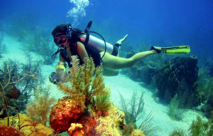 Buceo Barcos Hundidos (Open Water o Superior)