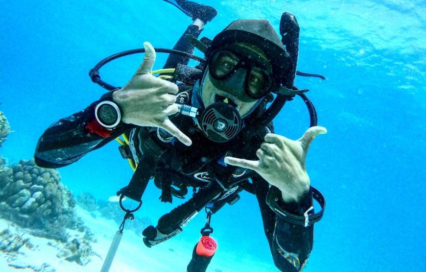 Buceo Arrecifes Islas Del Rosario (Open Water o Superior)