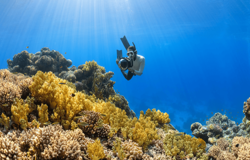 Buceo De Recreación 2 Inmersiones (Minicurso Principiantes)