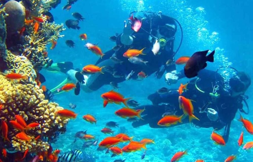Buceo Barcos Hundidos (Open Water o Superior)