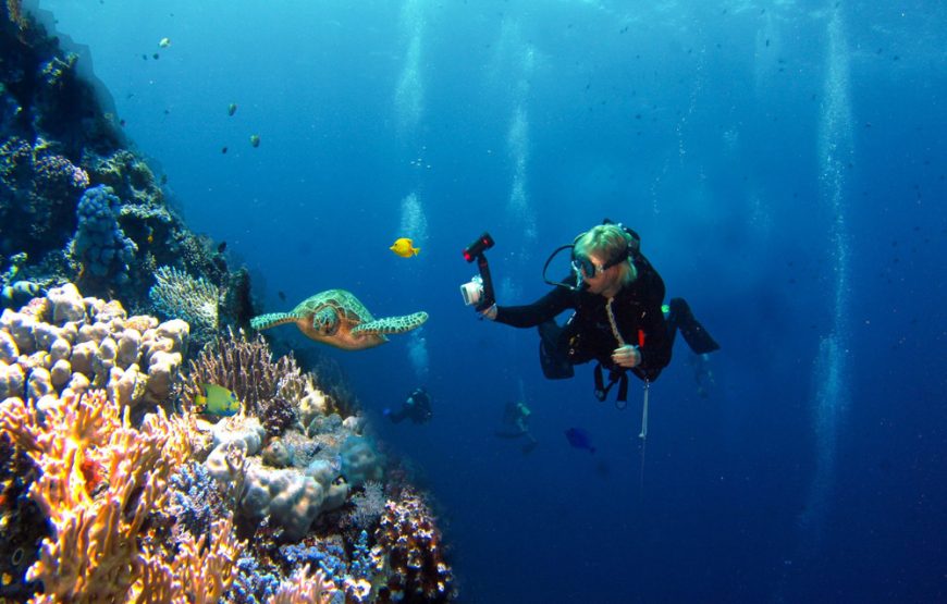Buceo Arrecifes Islas Del Rosario (Open Water o Superior)