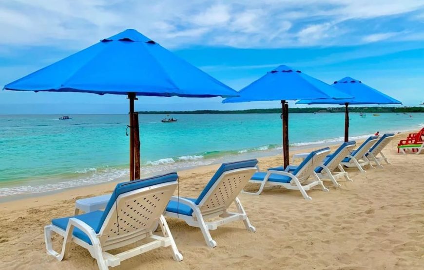 Playa Blanca Full Terrestre (Barú) + Tour Mapache Con Snorkel