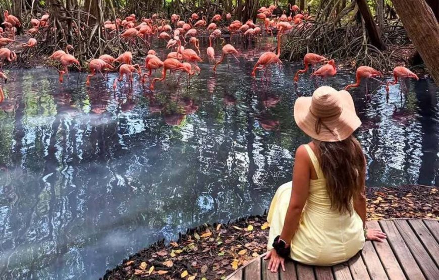 Aviario Nacional + Club Privado